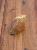 Kalbshufe